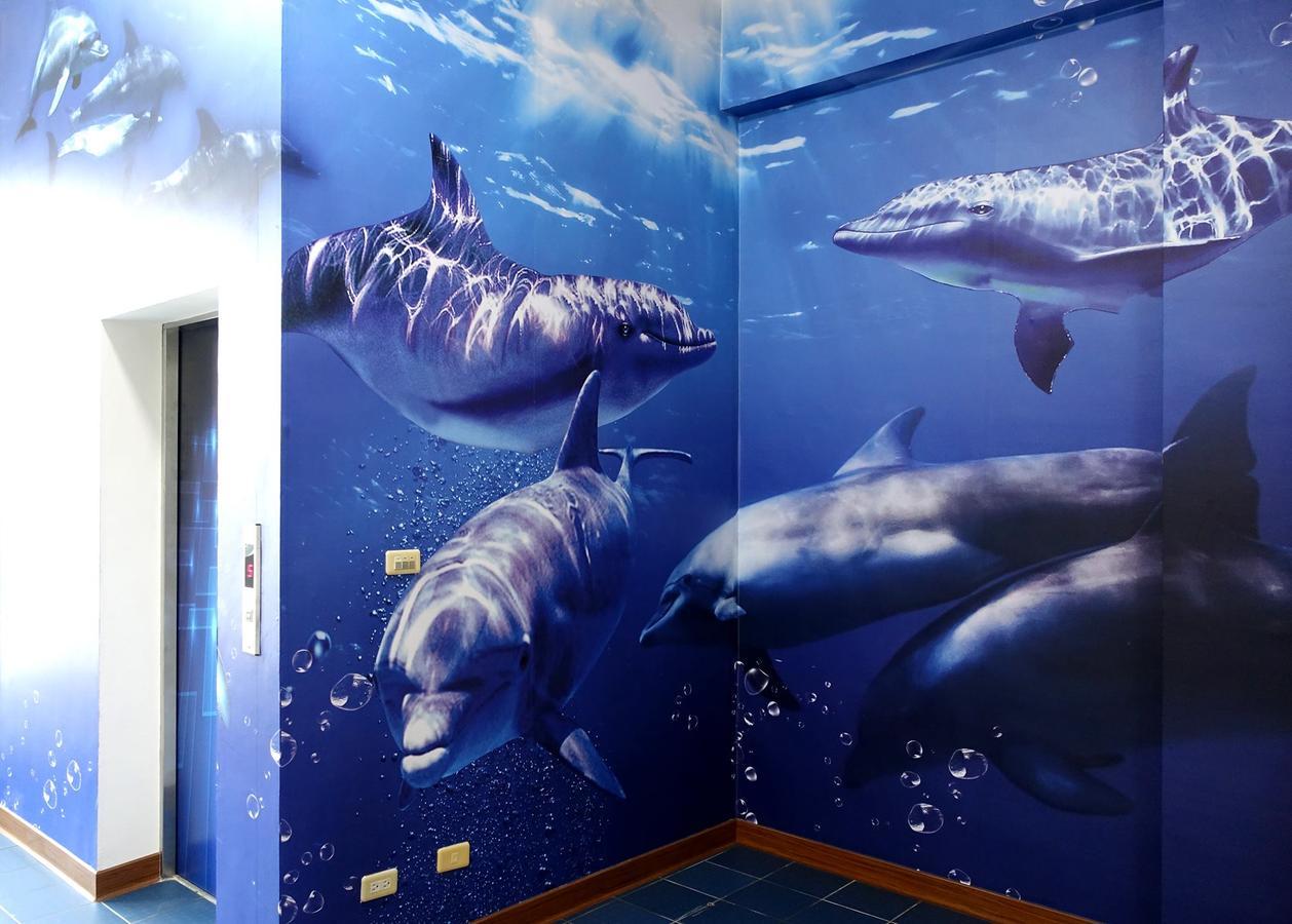 동강 Dolphin Castle B&B 외부 사진