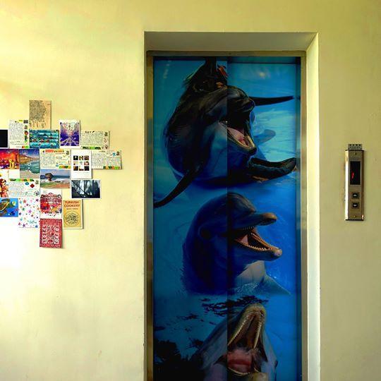 동강 Dolphin Castle B&B 외부 사진