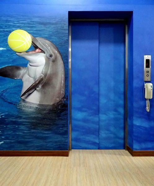 동강 Dolphin Castle B&B 외부 사진