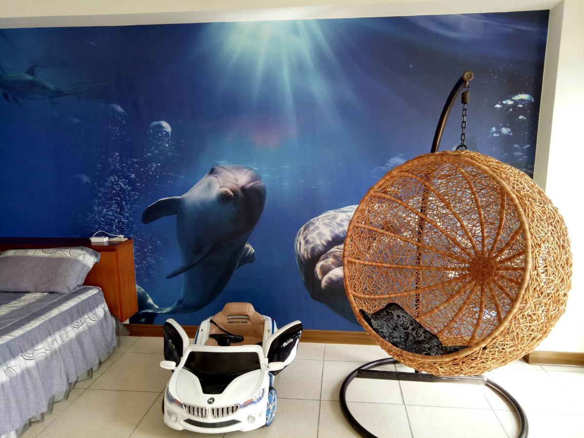 동강 Dolphin Castle B&B 외부 사진