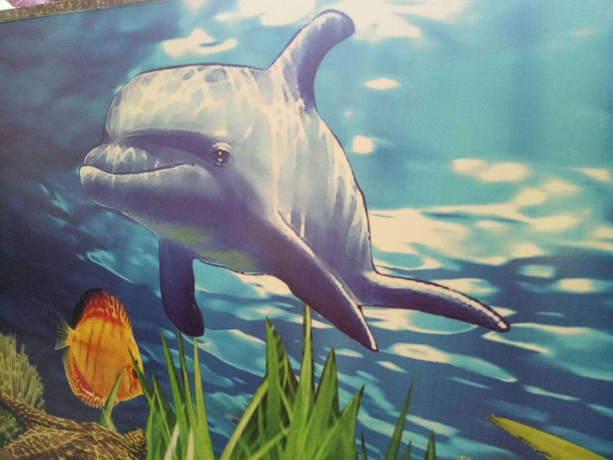 동강 Dolphin Castle B&B 외부 사진
